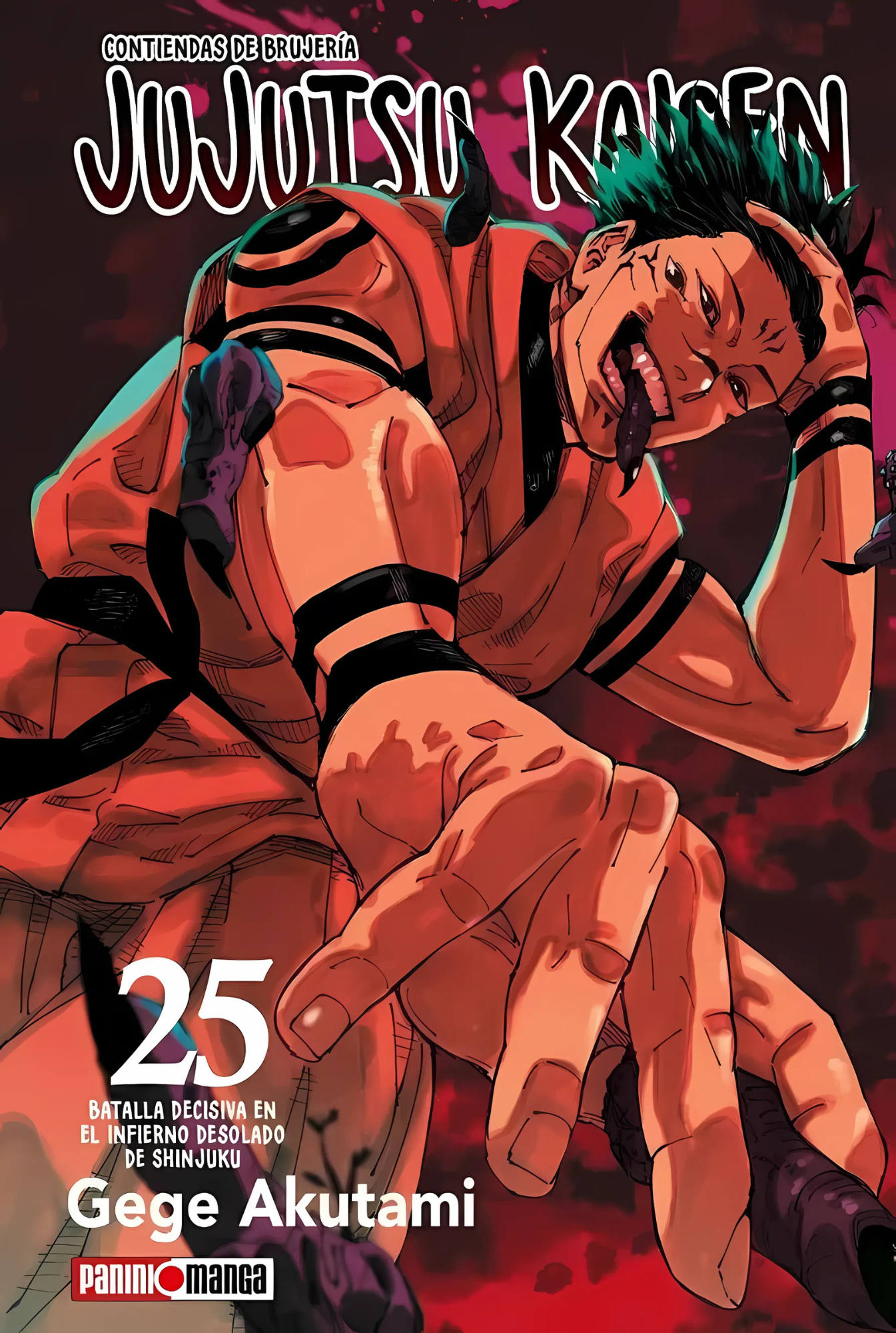 JUJUTSU KAISEN - 25