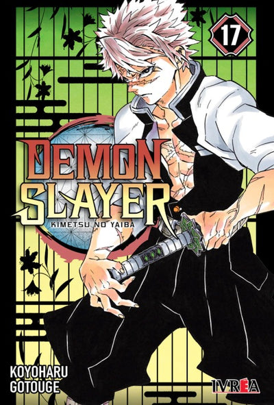 DEMON SLAYER: KIMETSU NO YAIBA - 17