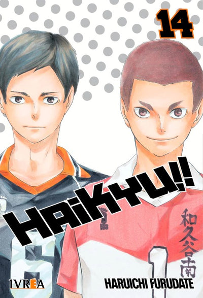 HAIKYU!! - 14