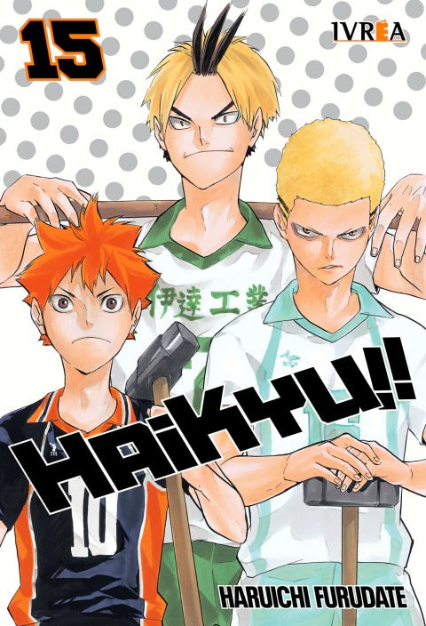 HAIKYU!! - 15