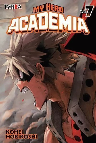 MY HERO ACADEMIA - 07