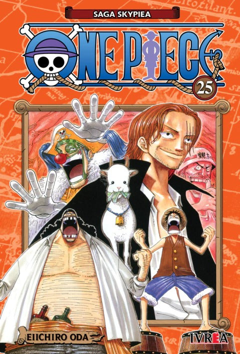 ONE PIECE - 25